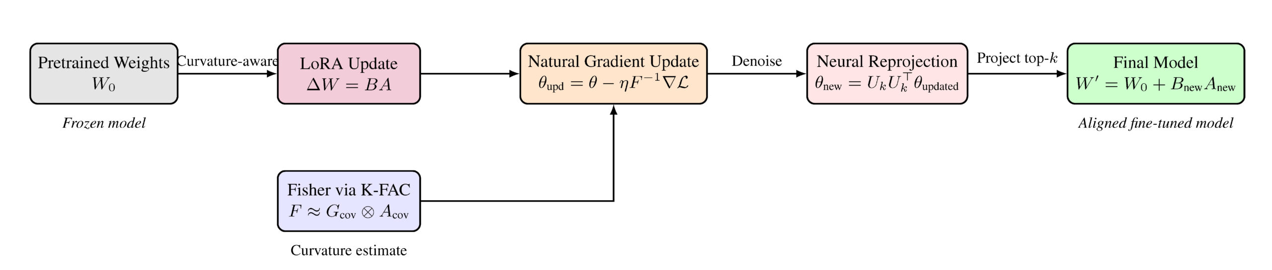 RAAPID Labs page 17 04 26 32 scaled